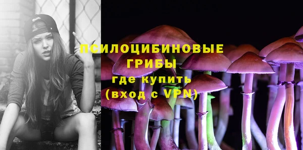 метадон Болхов