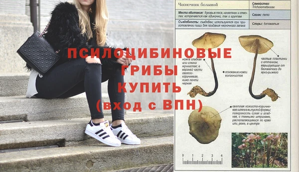 альфа пвп Навашино