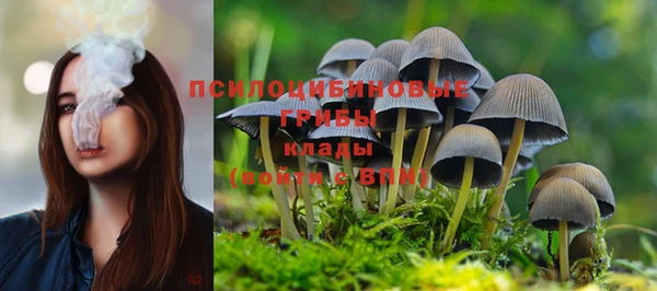 хмурый Михайлов